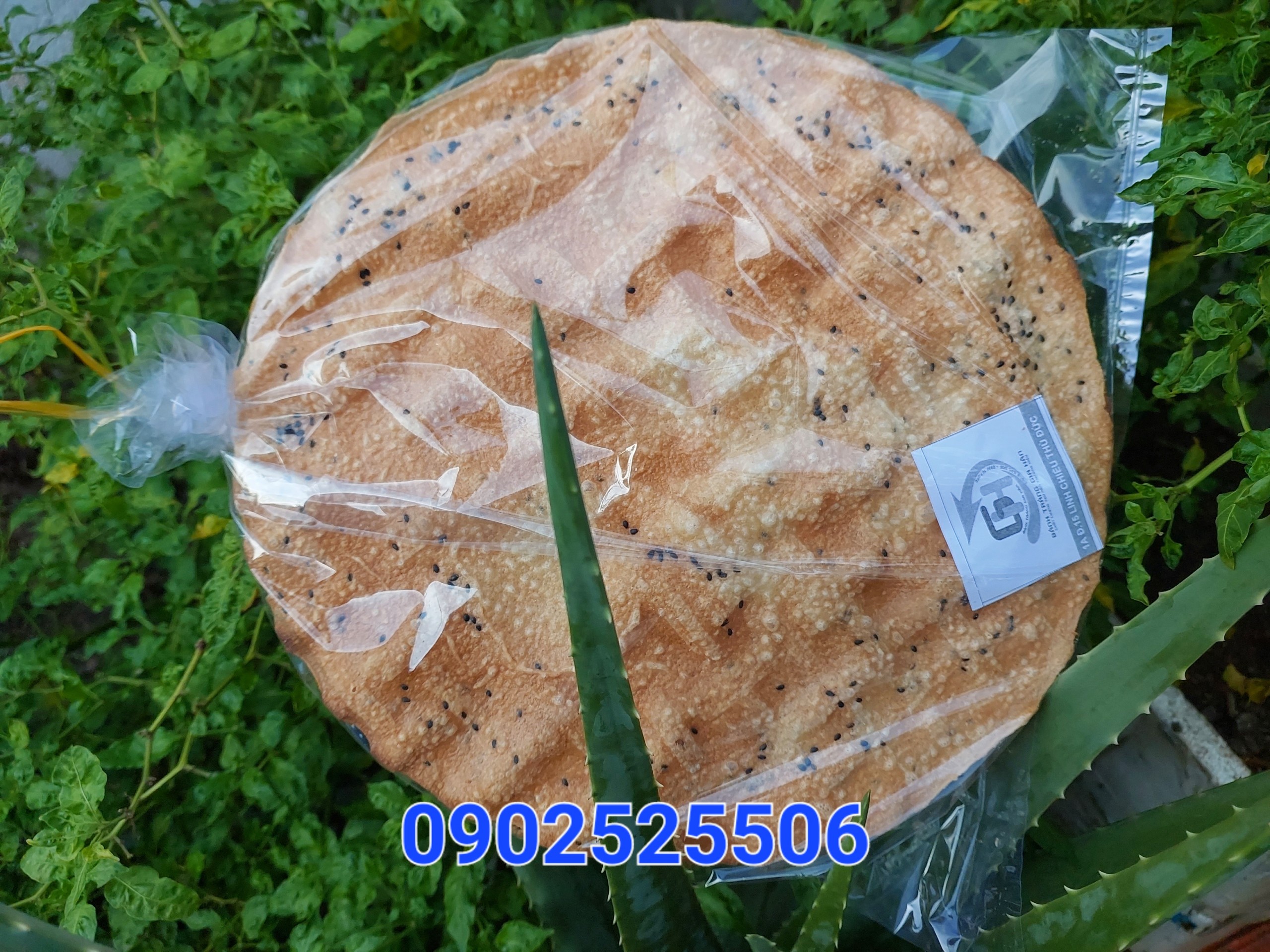 bánh tráng gạo